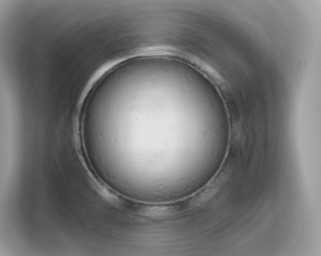 X0000113111470200908281358