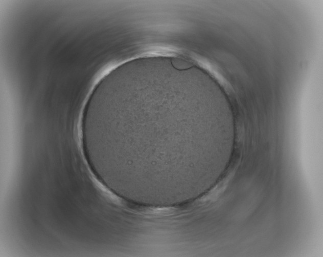 X0000113111471200908281358