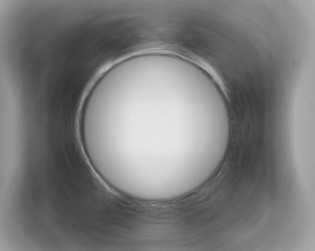 X0000113111472200908281358