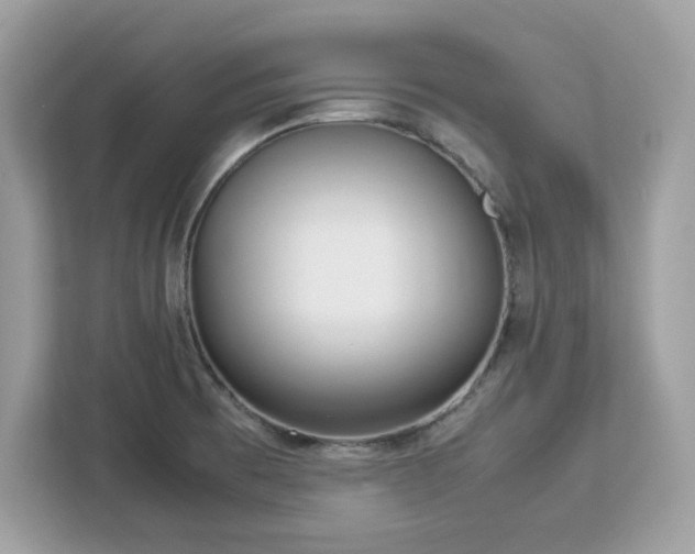 X0000113111473200908281358