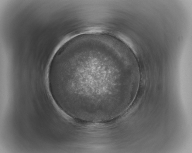 X0000113111475200908281358