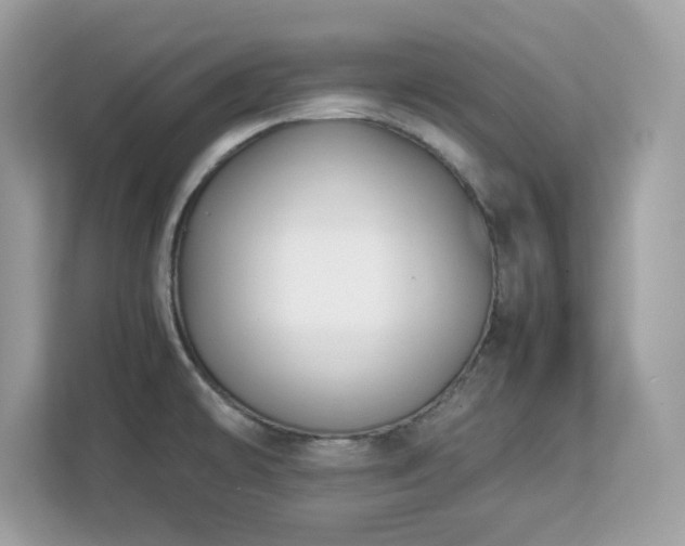X0000113111478200908281358