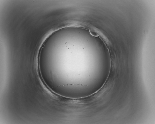 X0000113111479200908281358