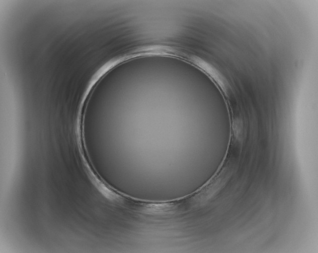 X0000113111482200908281358