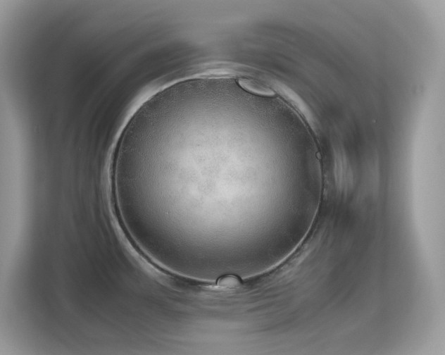 X0000113111483200908281358