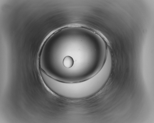 X0000113111484200908281358