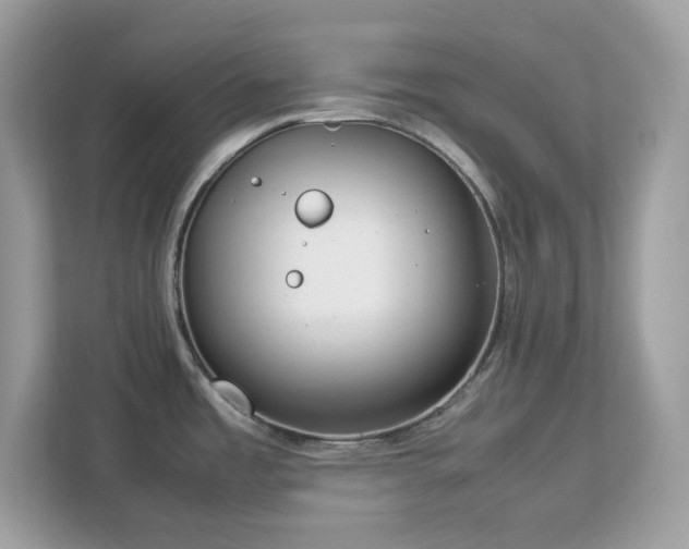 X0000113111485200908281358
