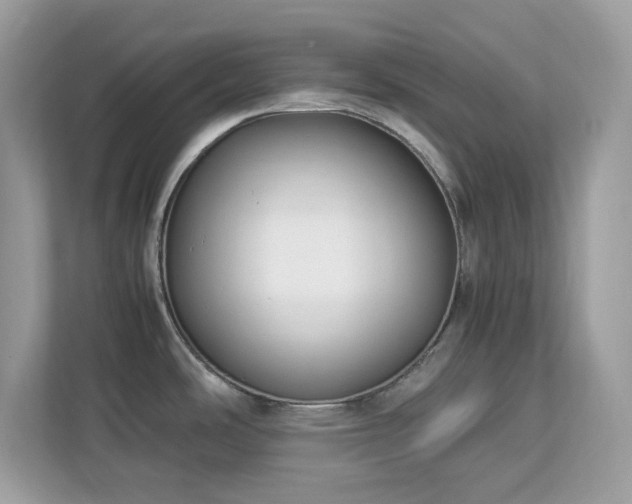 X0000113111486200908281358