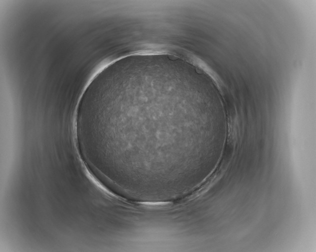 X0000113111487200908281358