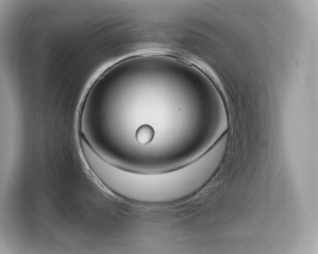 X0000113111488200908281358