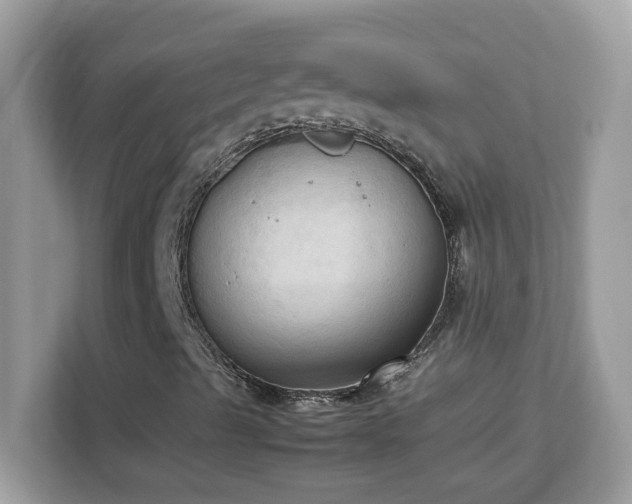 X0000113111489200908281357