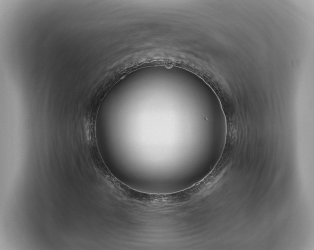 X0000113111490200908281357