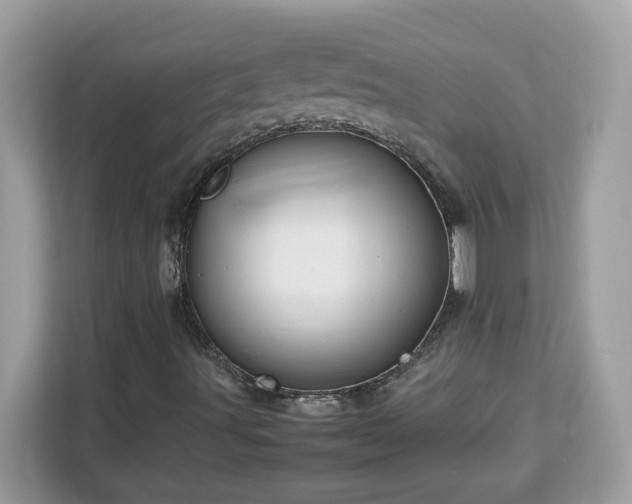 X0000113111491200908281357