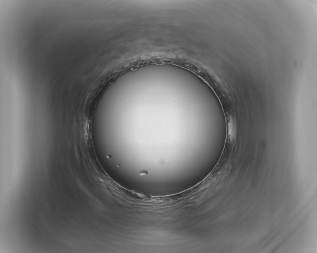 X0000113111492200908281357