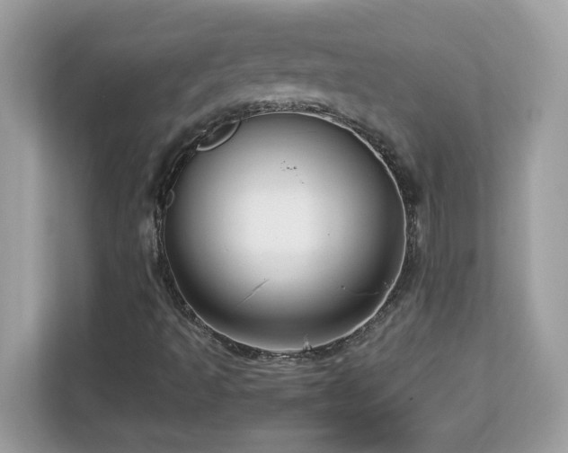 X0000113111493200908281357