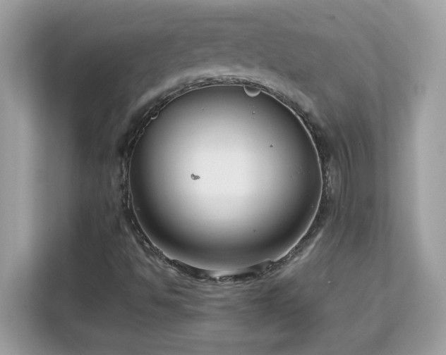 X0000113111494200908281357