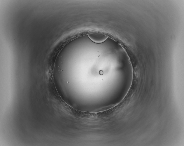 X0000113111495200908281357