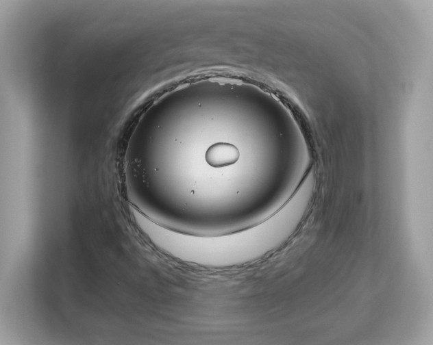 X0000113111496200908281357