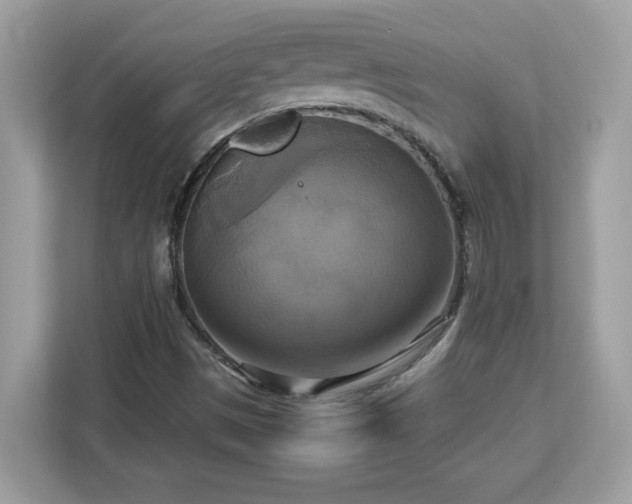 X0000113111497200908281357