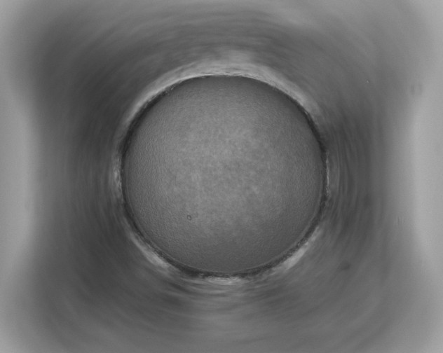 X0000113111498200908281357