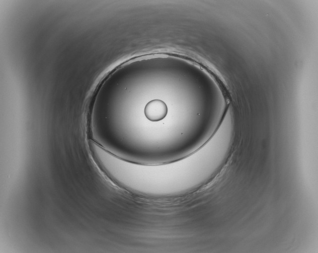 X0000113111500200908281357