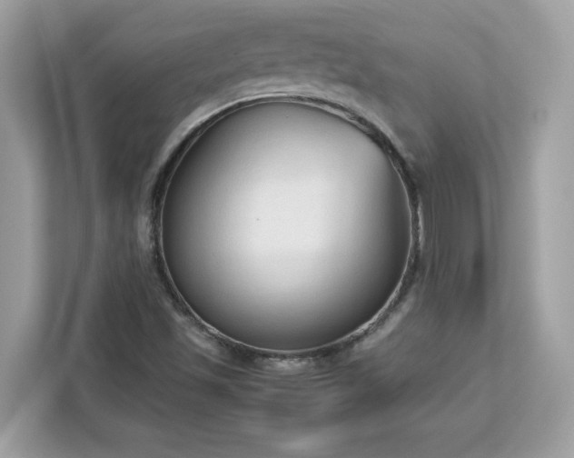 X0000113111501200908281357