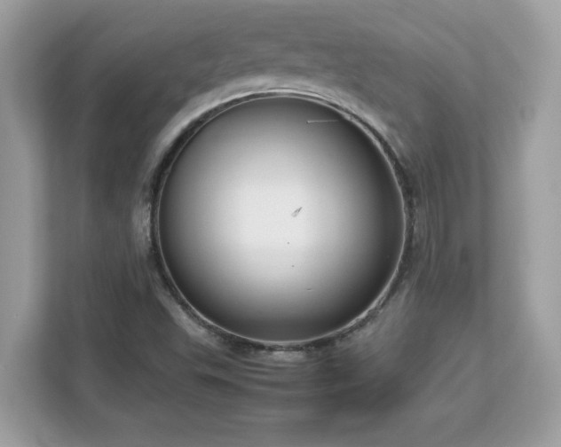 X0000113111503200908281357