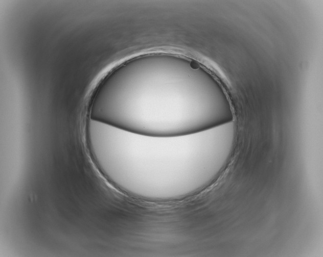 X0000113111504200908281357