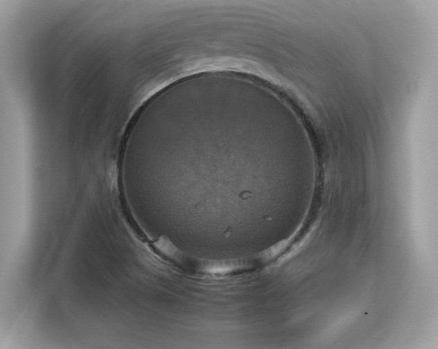 X0000113111505200908281357