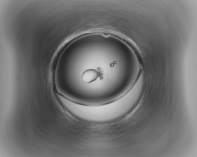 X0000113111506200908281357