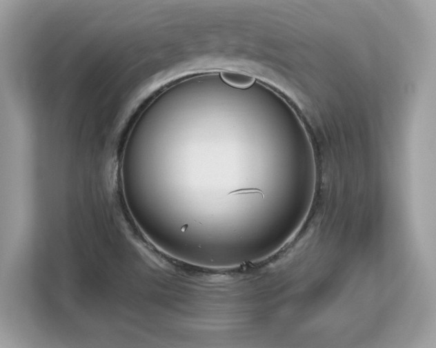 X0000113111507200908281357