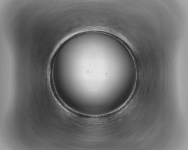 X0000113111508200908281357