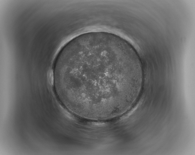 X0000113111509200908281357