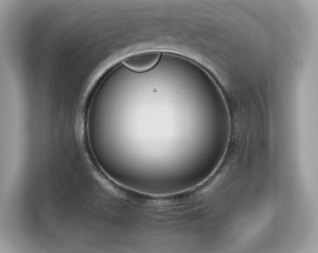 X0000113111511200908281357