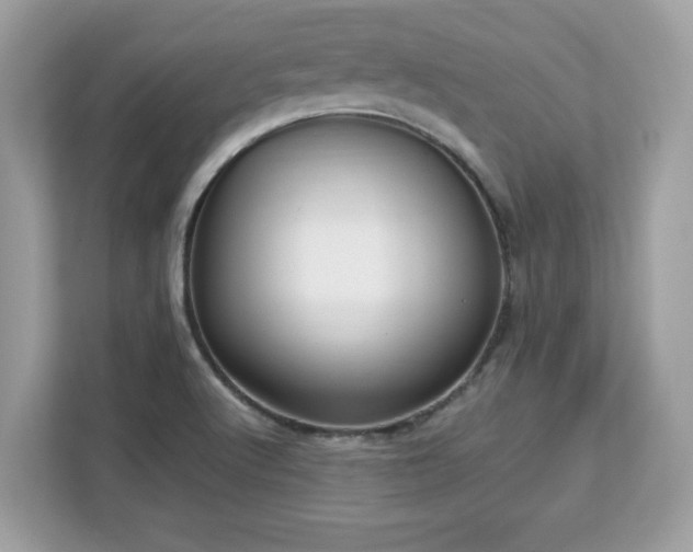 X0000113111512200908281357