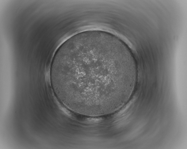 X0000113111513200908281357