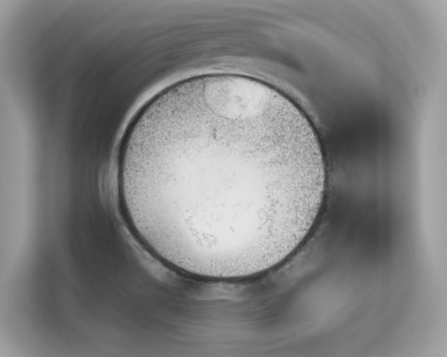 X0000113111514200908281357