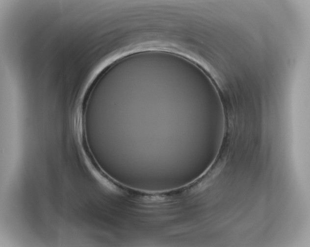 X0000113111515200908281358