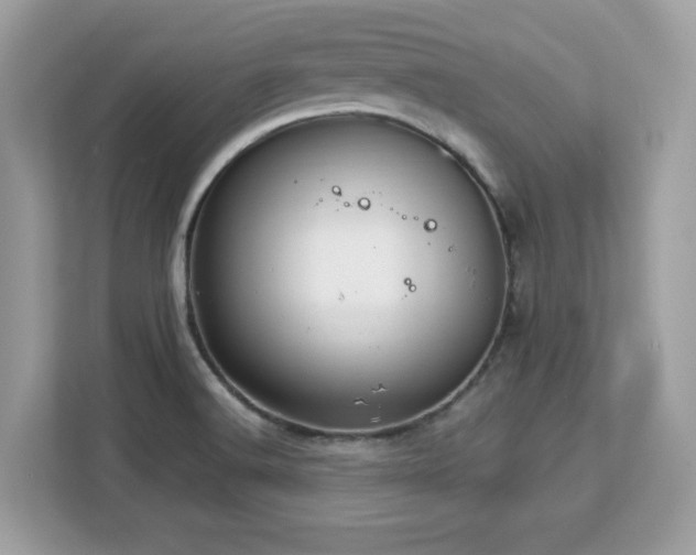 X0000113111516200908281358
