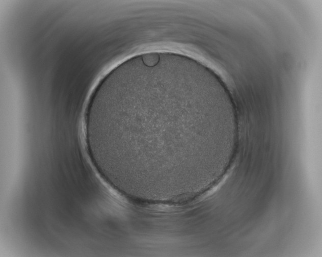 X0000113111517200908281358