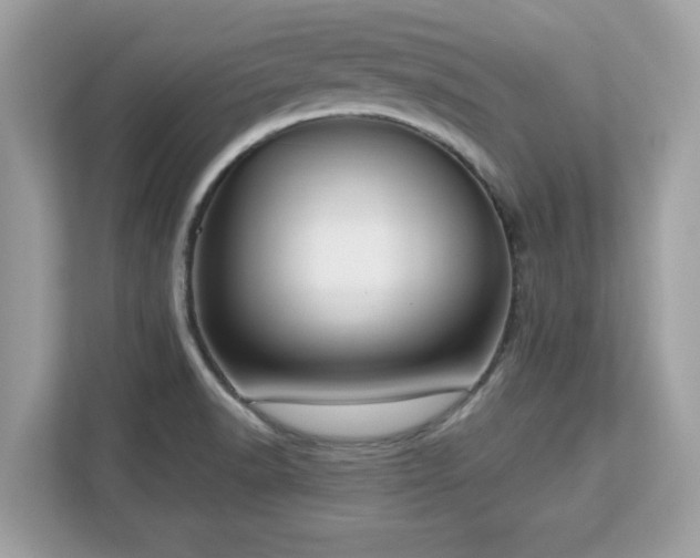 X0000113111518200908281358