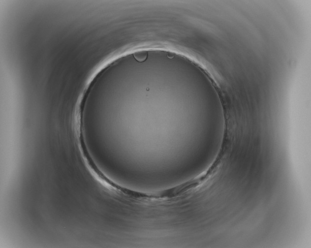 X0000113111519200908281358