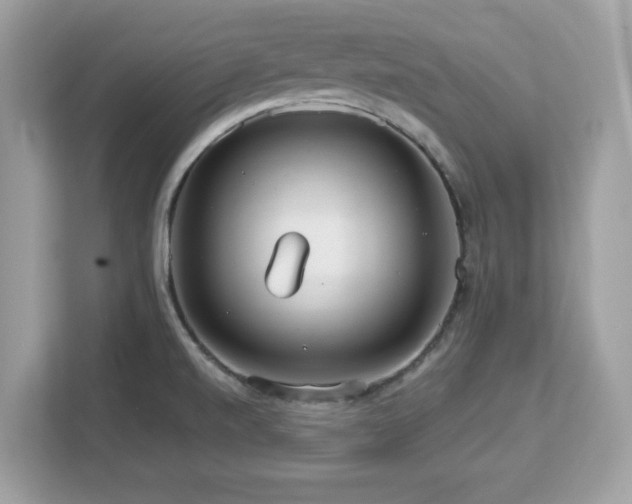 X0000113111520200908281358
