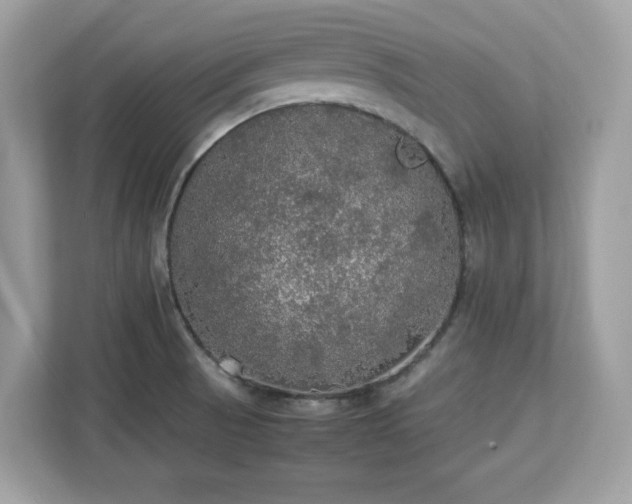 X0000113111521200908281358