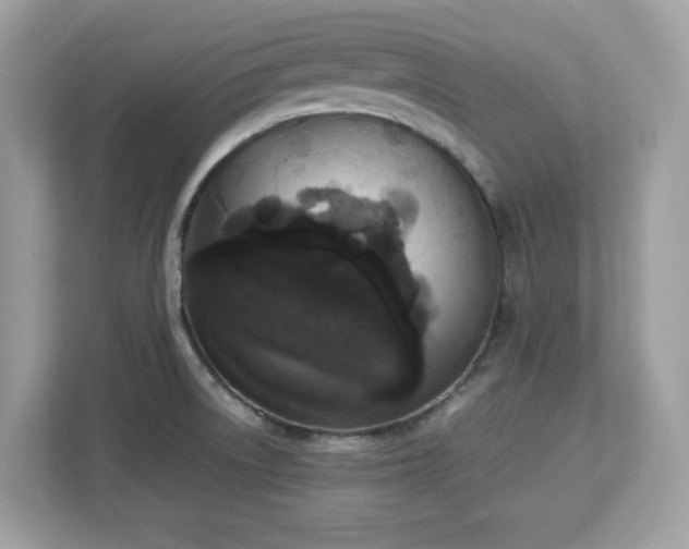 X0000113111522200908281358