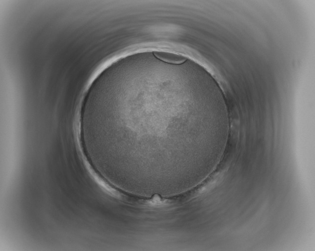 X0000113111523200908281358