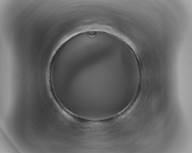 X0000113111525200908281358