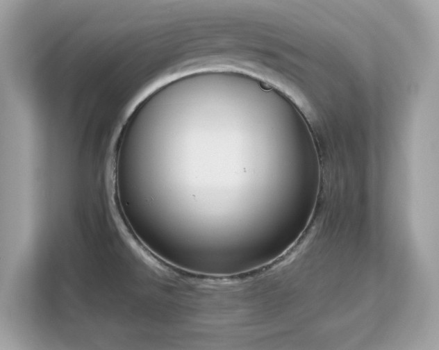X0000113111526200908281358