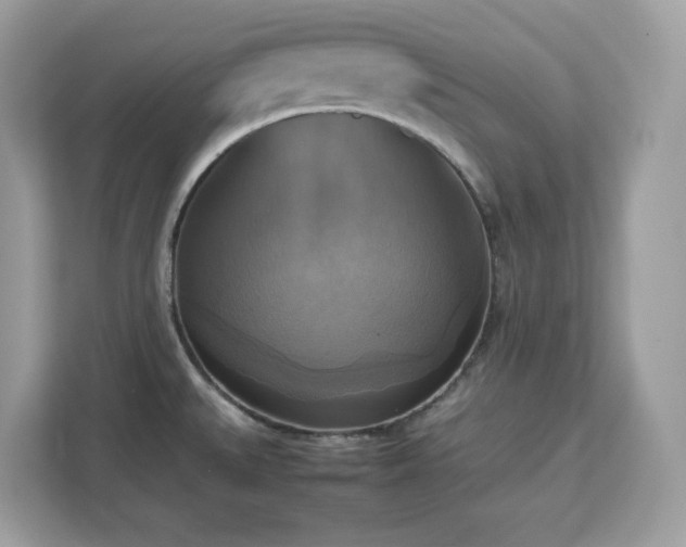 X0000113111527200908281358