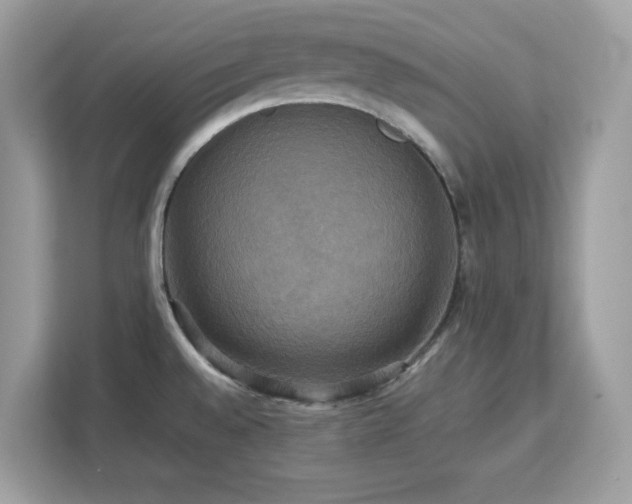 X0000113111528200908281358